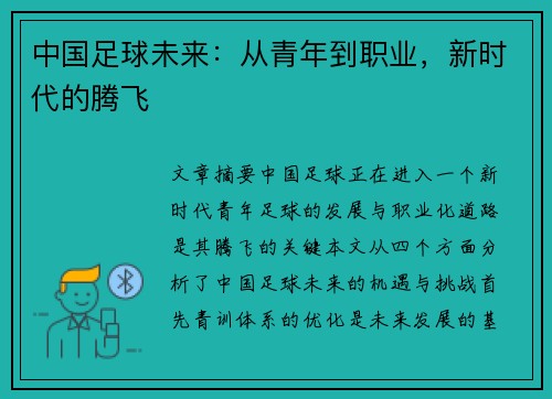 中国足球未来:从青年到职业,新时代的腾飞 中国足球未来:从青年到职业,新时代的腾飞